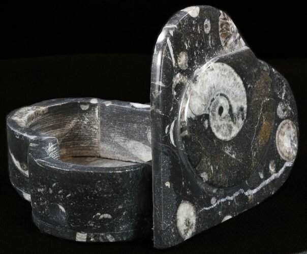 Heart-Shaped Fossil Goniatites Box - (Black) #37995